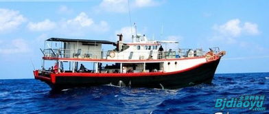 海南本岛：被遗忘的宝藏