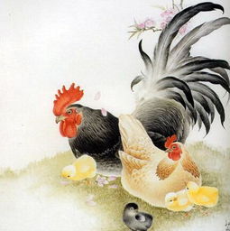 2026年属鸡女士如何选择招财转运物件以提升事业运和感情运？