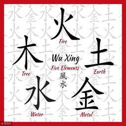 如何入门学习浙江道易文化，掌握道易归真四柱八字算命知识？