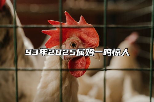 属鸡的朋友金光闪闪
