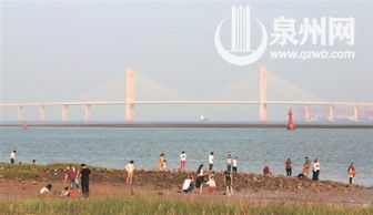 第一次去泉州滨海公园，我差点被“公园”劝退