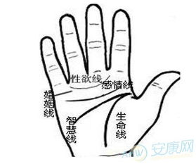 婚姻线：烂桃花预警雷达