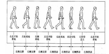 运势与步态：天机就在脚下