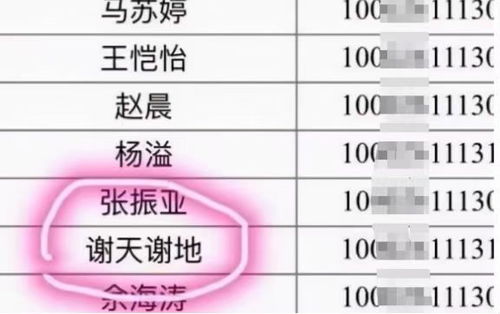 列举几个符合上述规则的名字示例：