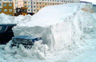 冬日冰雪较大世界：冻成狗也值了！
