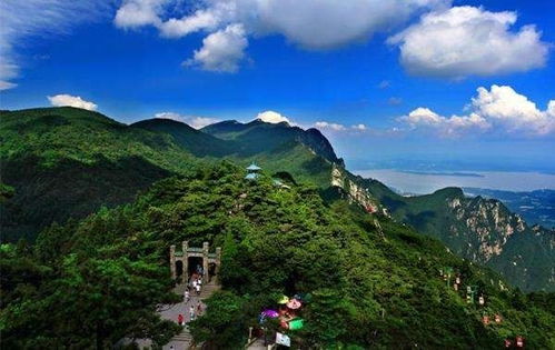 庐山奇遇记：当文艺青年遇上采药大爷