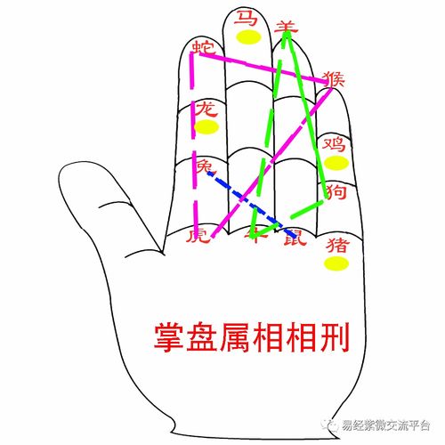 生肖相刑的人在一起会有什么不良影响或后果？