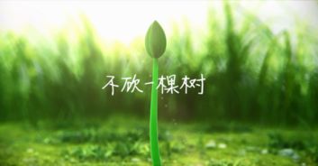 金牛座：稳重踏实的居家风格
