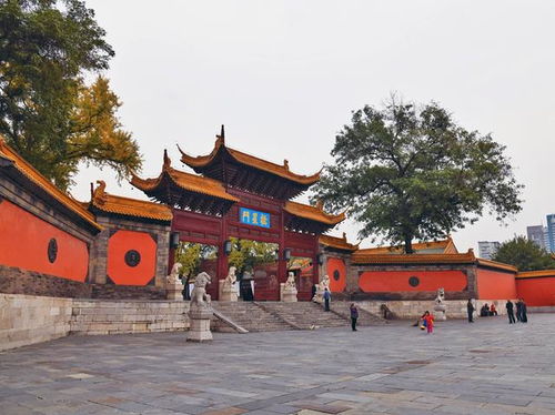 先别急着买票！这里有个较大坑你有可能踩不住...