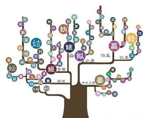 二、迁徙路线大杂烩（附表）