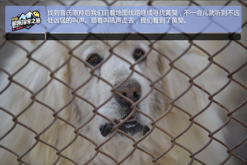 序言：梦里乾坤大，醒来一身汗