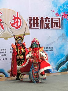 民族节日风俗：多元瑰宝，文化盛宴一网打尽