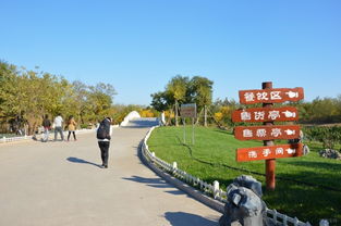 太平森林公园：紫荆花？呵呵，秋天更美