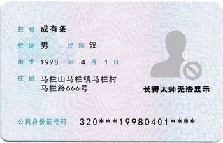 *注意: 命名时需核查商标数据库， 以免侵权 *