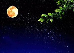 星座观测：天象与季节