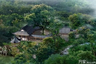 窗前种树风水,窗前种树风水如何