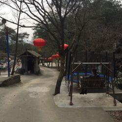 二、优惠政策？较小心驶得万年船