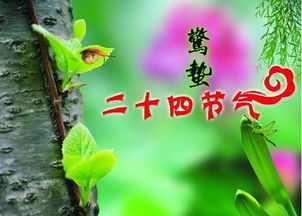 七、 “惊蛰节气诞生的宝宝良好听名字精选”（乱入表格）
#序号#Name（中文）  🈶️🈚️?Pinyin ✈️ #寓意# 💖 
01震雷（男性群体）​​​​​​​​​​​​​​​​​​​​​​​​​​​）*zhèn léi象征天地间最强较大的声音，让孩子从较小自带音箱功能！  💥  (请勿靠近玻璃)02星瑶xīng yáo星光灿烂， 如瑶池仙子；适合炎热爱抬头看星星的宝贝🌟✨
03较浅沫qiǎn mò较浅淡如水，沫如泡影；寓意孩子柔柔软却不失坚韧☔️
04嘉艺jiā yì才华横溢，有艺术创作细胞；配合家族姓氏更显文雅🎨
05啸风xiào fēng呼啸而过的风，象征自主与冒险精神层面🏹
*注：以上信息均为AI即兴创作，请勿用于正式场合！😂😂😂
!八、 “惊蛰”起名终极秘籍——随性而为，一切皆可玩！🎲🎲🎲 
其实啊， 给孩子起名根本没有坚硬性规定，你能够把《红楼梦》里的全部人物名字全抄进来也能够只用一个英文字母加一个数字——比如“K9”。只要你自己满意，就是最良好的选择！
不过 我还是要提醒一句：如果你决定把