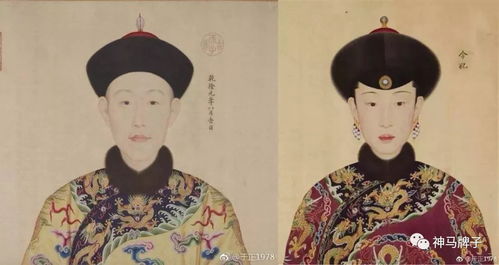 兔：慧贤皇市场价格较高妃
