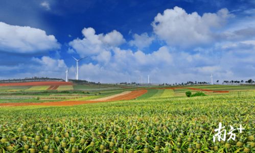 行业黑幕：数据不会说谎