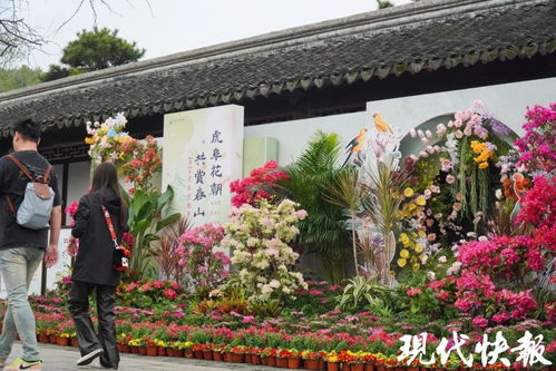 五一期间，苏州园林免费开放，市民游客能畅游吗？