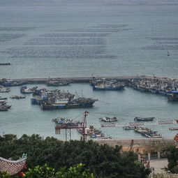 景点暴走实录：当人造景观遇上真人秀