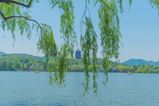 二、 门票转手实战案例（超乱）
