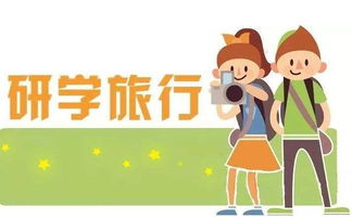 二、 深度研学，收获满满