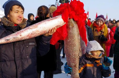 #沿途美食# 随手拍摄的味蕾日志
