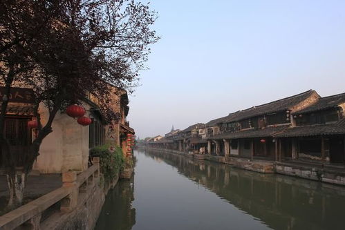 独特体验,感受魅力