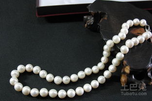 老一套观点：祖宗的智慧你得信点