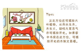 二、 星座与八字——神秘组合的灵活运用