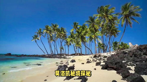那个叫Zuo夏威夷的地方和该死的邮编