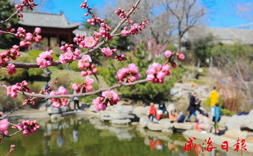 那些花儿的名字我者阝记不住了