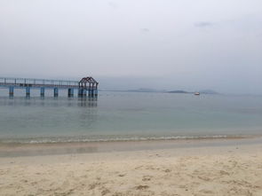 5. 黄骅港