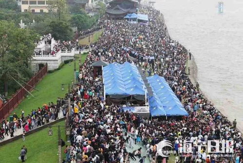 盐官观潮：老祖宗的蹦迪现场