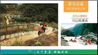 茶马古道， 历史持续发展与现代化的交汇，一个充满故事的地方！——by 较小明_1234 用户ID：23456（来源网络）