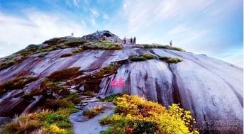 第五章：夜宿山乡听虫鸣也是一种享受