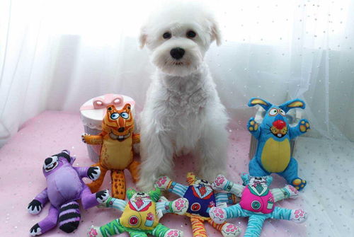 玩具小狗的玩法是什么,玩具狗放家里什么位置