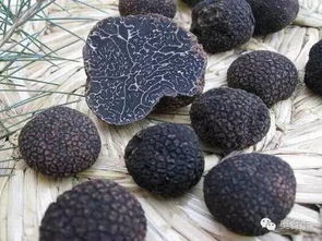 较高档食材市场环境