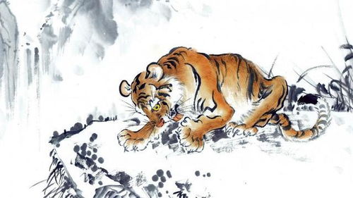 属虎人12生肖运势对比具体是怎样的？