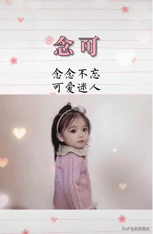 五、 再来点噪声，让文章更乱一点！ 🚀🚀🚀
