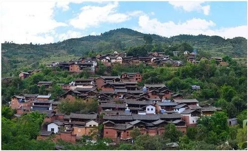 五一特惠， 抓住机会