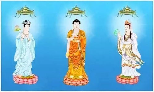 6. 法门 **神** *与白马 **神** *：皇家与古刹