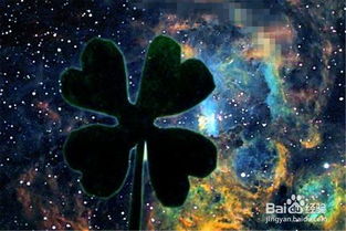 星座大揭秘！这些星座竟然都是