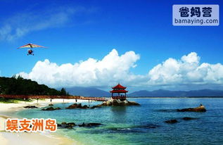 冲浪小课堂