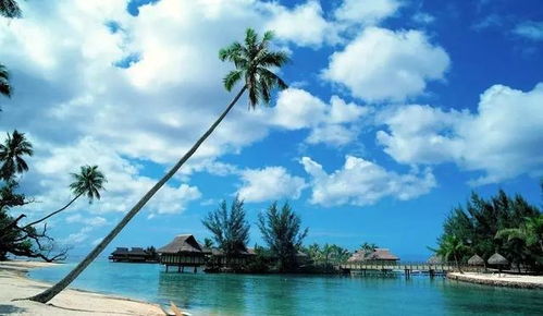 海南中学附近的旅游景点