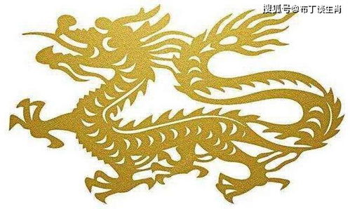 龙的生肖后面究竟有哪些属相呢？