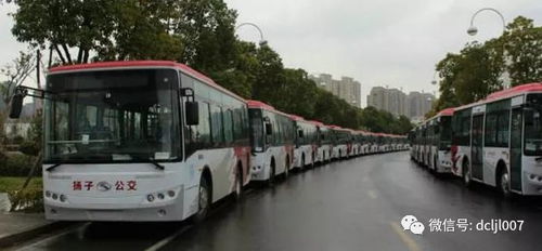 第三章：公交车——一场豪赌