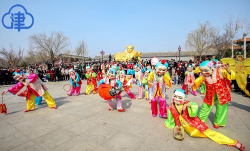 藏族风俗文化深度解析，揭秘传统魅力！